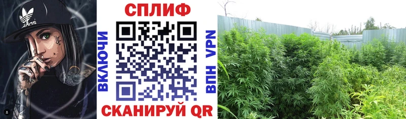 Купить закладку Красноуральск Вейп ТГК  Каннабис  Амфетамин  Мефедрон  COCAIN  A PVP  ГАШ 