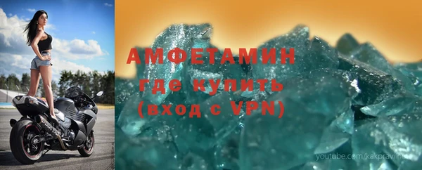 индика Алзамай