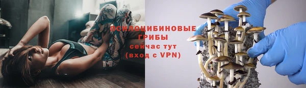 индика Алзамай