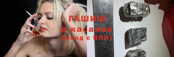 индика Алзамай