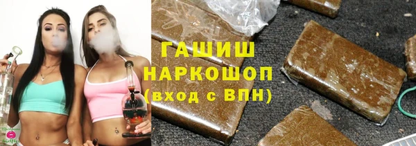 индика Алзамай