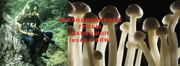 индика Алзамай