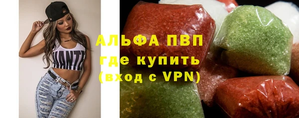 индика Алзамай