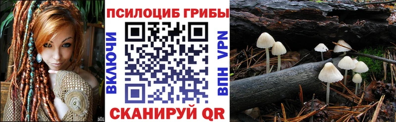 Галлюциногенные грибы MAGIC MUSHROOMS  магазин продажи   Красноуральск 